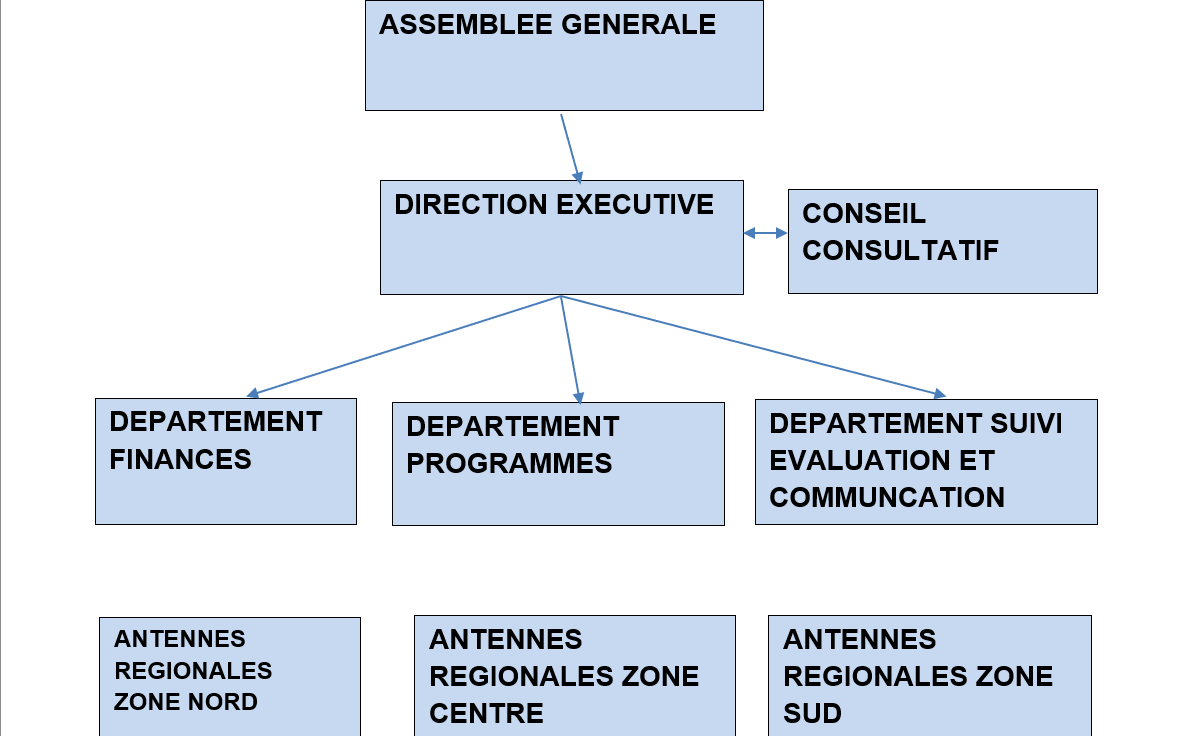 Organigramme ONG JAMRA